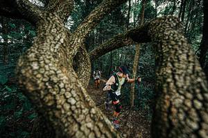 BIB: 
                            <button type="button" onclick="openModal(25393058)" class="btn btn-primary btn-sm float-right btn-popup" data-toggle="modal" data-target=".modal-high-quality">
                        <i class="fas fa-shopping-cart"></i> Add to Cart
                    </button>
                                            <button type="button" onclick="isThisMe(25393058, true)" class="btn btn-success btn-sm float-right btn-popup btn-isme hidden" data-toggle="tooltip" data-placement="bottom" title="นี่คือรูปของคุณใช่ไหม คลิกที่นี่เพื่อเอาเข้าอัลบั้ม">
                        <i class="fas fa-plus"></i> Add to album
                    </button>
                    <button type="button" onclick="isThisMe(25393058, false)" class="btn btn-warning btn-sm float-right btn-popup btn-isnotme hidden">
                        <i class="fas fa-ban"></i> Remove from album
                    </button>